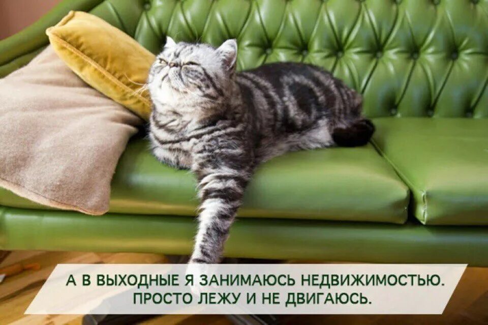 От работы отдыхаю и со мной моя
