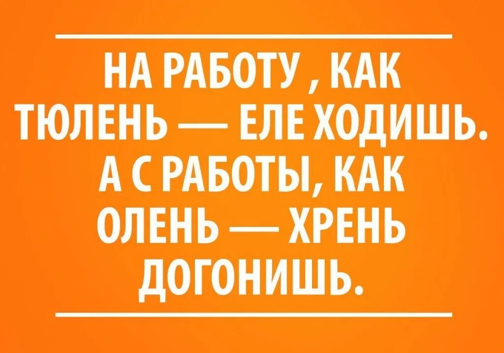 Еле хожу. Завтра опять на работу приколы. На работу как тюлень. Года бегут и я бегу и фиг они меня догонят. Еле ходит.