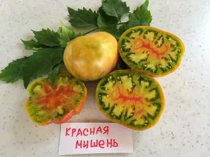 Томат картофельный лист