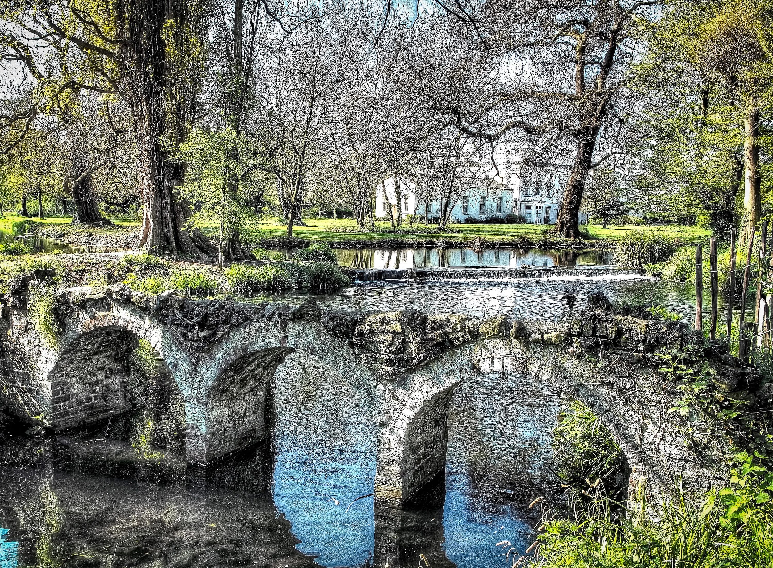 Discover nature. Вимбили парк Лондон. Грэхем-парк, Лондон. Парки Лондона фото.