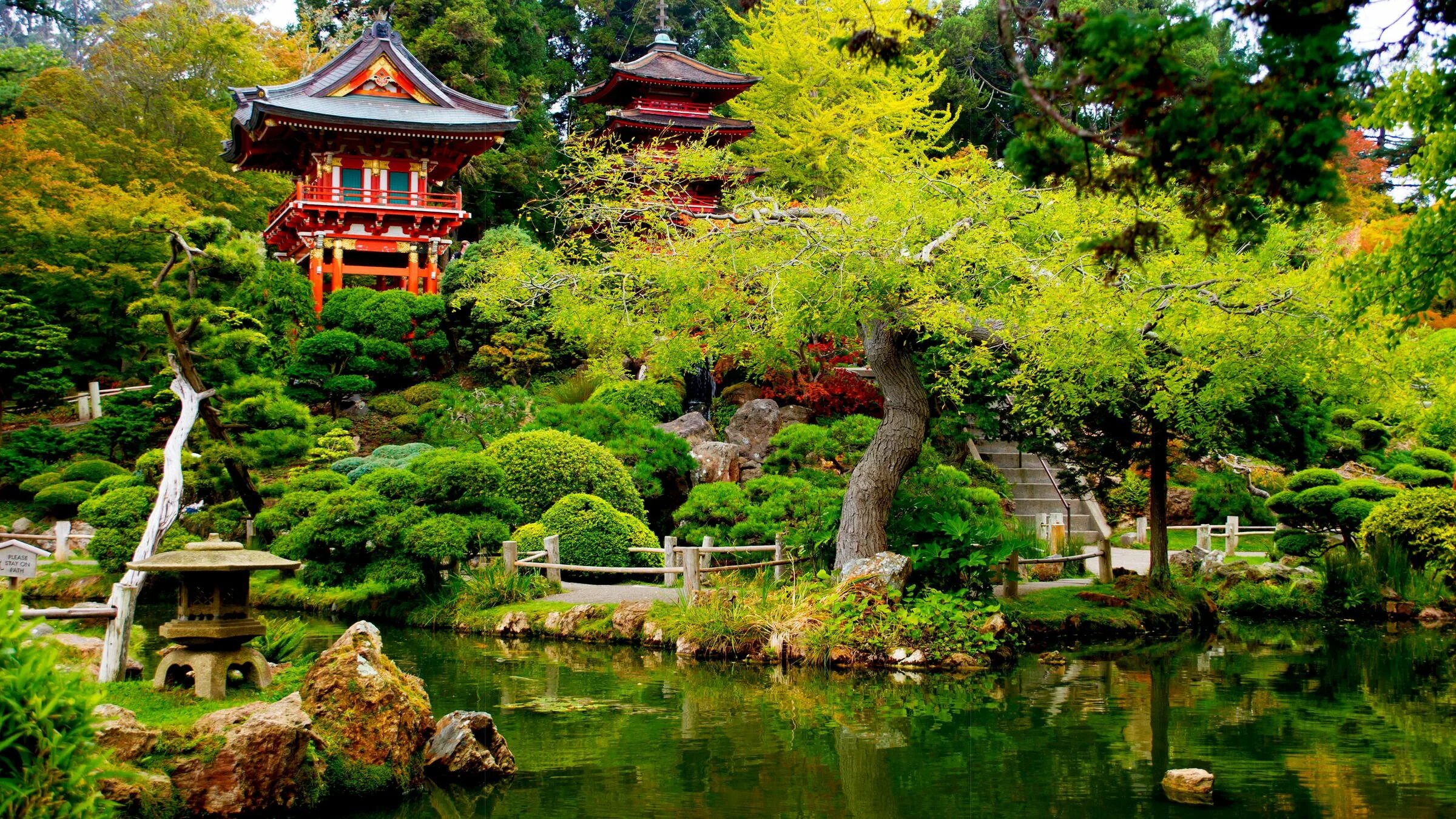 Чайная церемония в японском саду. Японский чайный сад в Сан-Франциско. Японский чайный сад, парк «золотые ворота», Сан-Франциско, США. Чайный сад в Сан Франциско. Чайный сад Тянива в Японии.