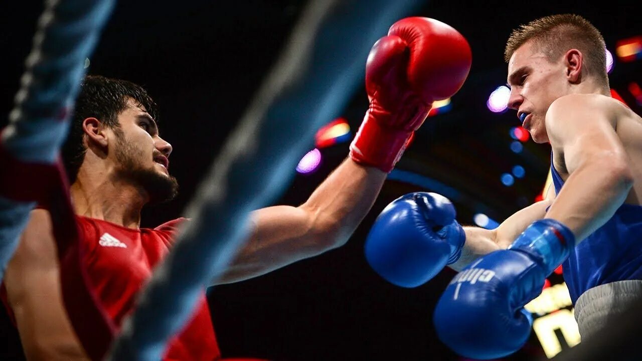 Rus boxing. Rus boxing. Гамзат газалиев боксер. Rus boxing. Боксеры питера фото.