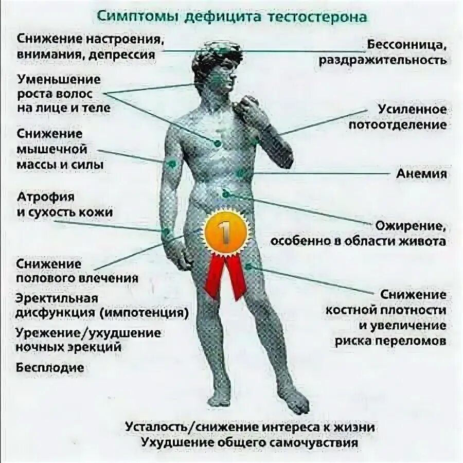 Симптомы дефицита тестостерона. Снижение секреции тестостерона. Симптомы сниженного тестостерона. Симптомы дефицита тесто. Повышенный тестостерон у мужчин признаки