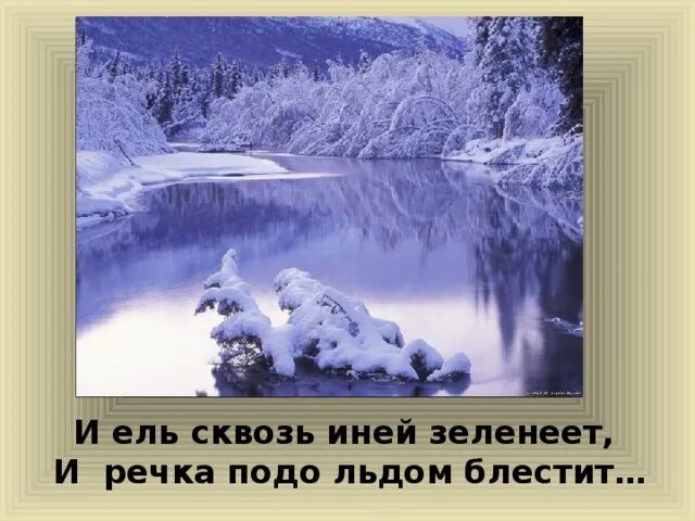 Ель сквозь иней зеленеет. Пушистые снежные ели. И ель сквозь. Прозрачный лес один чернеет и ель сквозь иней зеленеет и речка. Ель сквозь иней.