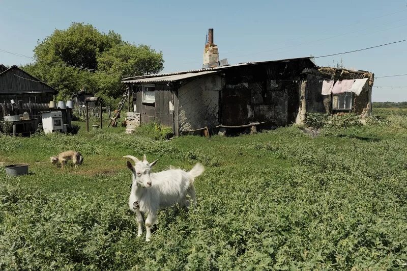 Village воронеж. Заброшенные деревни Воронежской области. Красивые деревни Воронежской области. Заброшенные хутора Кубани. Заброшенные хутора Карачаево Черкесия.