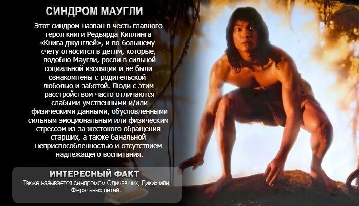 Является ли маугли человеком. Является ли маугли человеком