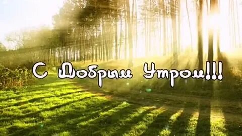 5 дней саше
