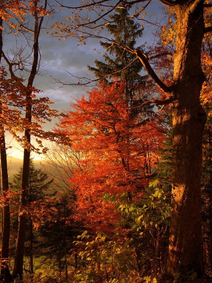 October 2012 DA Official Wallpaper by IrvingGFM on DeviantArt