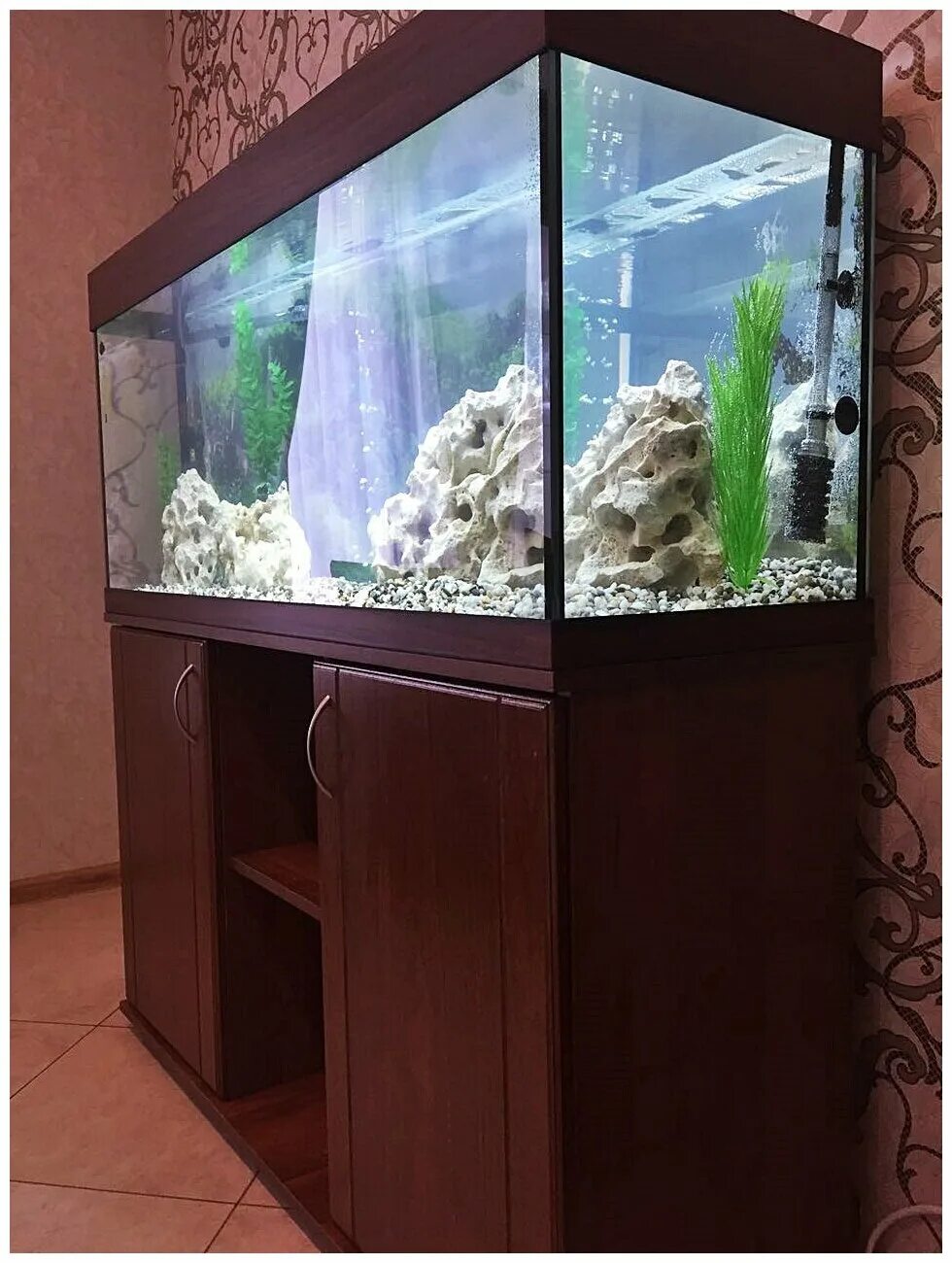 аквариумы 240 литров. аквариумы 240 литров. аквариум eheim vivaline 240. фото аквариум панорама. Juwel 300л.