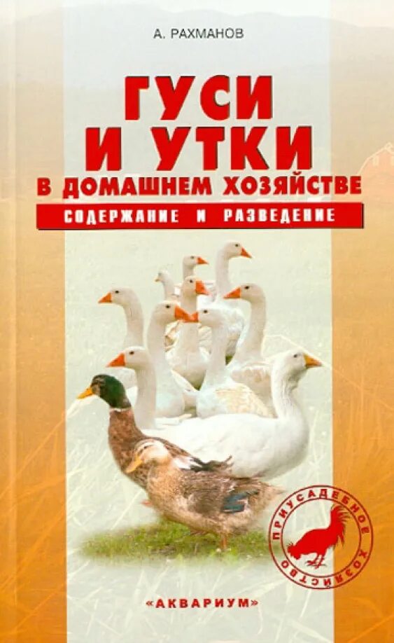 Утки и гуси содержание