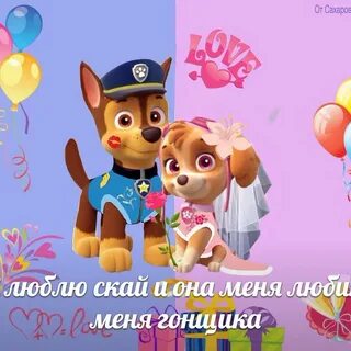 Скай любит