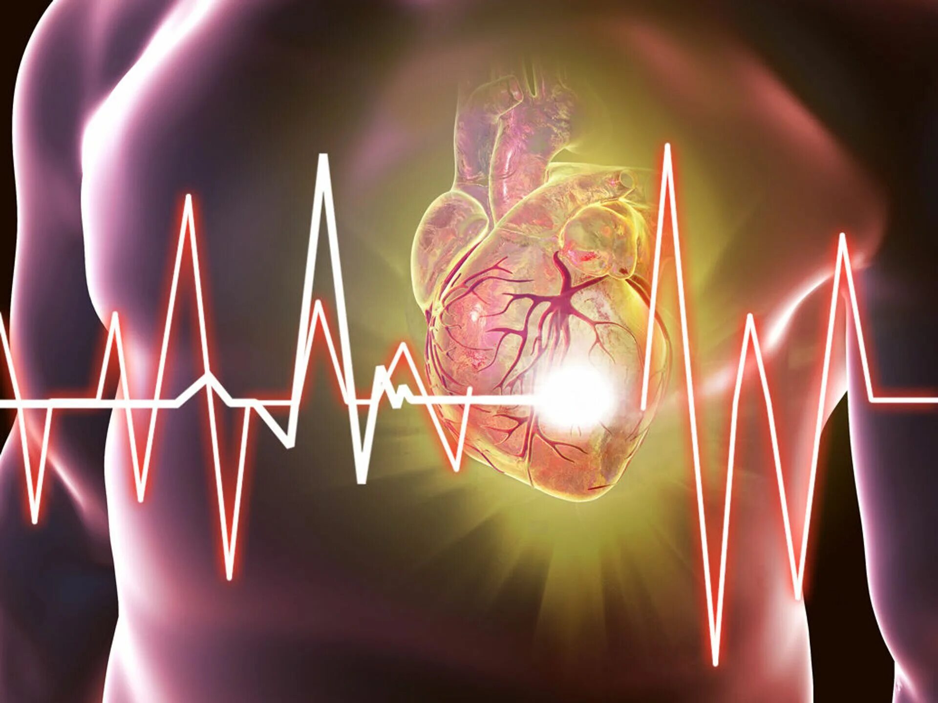 Качество сердца. Пульс сердца. Биофизика сердца. Импульс сердца.