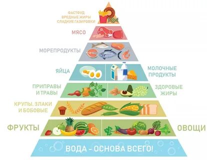 Уровень пп