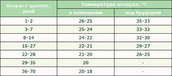 Какая температура содержания. Таблица содержания бройлеров в брудере. температура содержания бройлеров таблица. температура в брудере для бройлеров таблица. температура в брудере для цыплят таблица несушек.