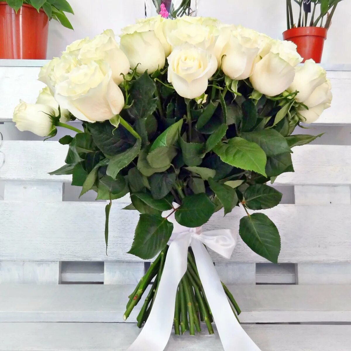 Белые розы смысл. Букет белых роз. Букет из белых роз. Длинные белые розы. Сочетание белых роз.