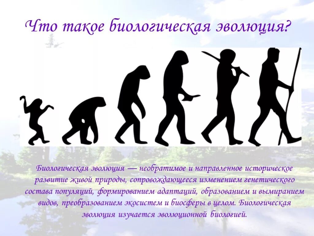 Эволюция что это. Биологическая эволюция. понятие биологической эволюции. биологическая эволюция это в биологии. основные принципы биологической эволюции.