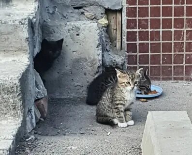 Уж во дворе