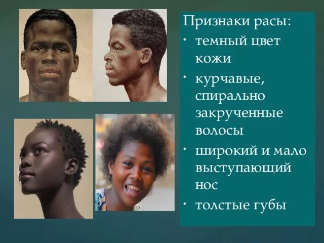 Выступающий нос характерны для какой расы. Расовые признаки. Признаки рас. Представители разных рас. Расы.