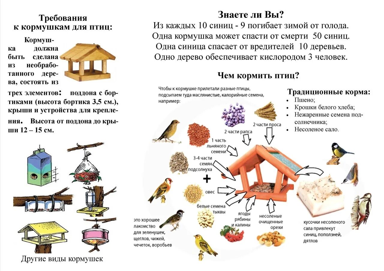 Правила кормления птиц зимой памятка. Чем кормить птиц зимой в кормушках для детей. Как кормить зимующих птиц. Рекомендации для родителей чем кормить птиц зимой. Свойства кормушки для птиц