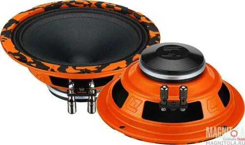 Колонки gryphon pro 165. Активный сабвуфер dl audio. Эстрадный сабвуфер динамики dl audio bass test. Динамики dl audio gryphon. Колонки gryphon pro 165.
