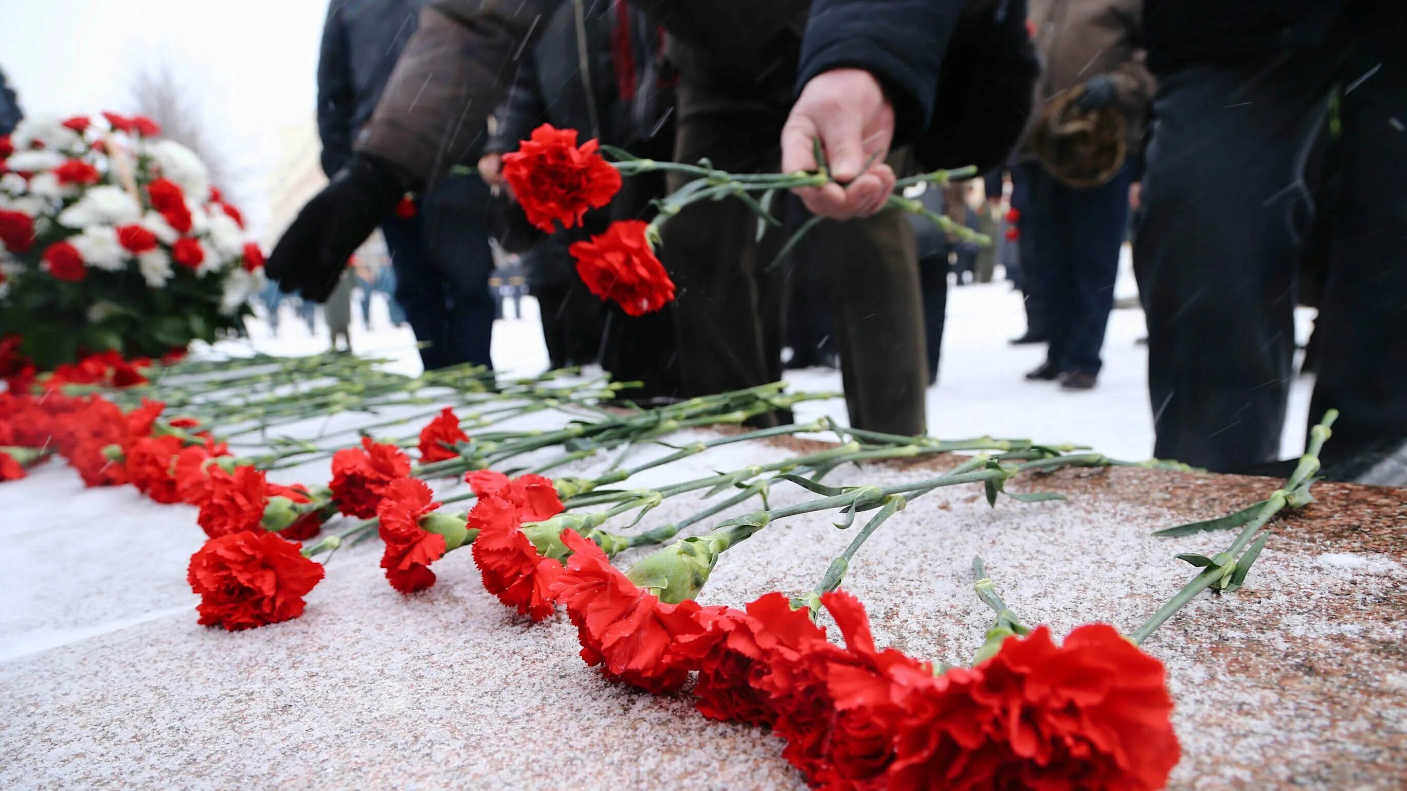 Сколько гвоздик на день победы. Возложение цветов к памятнику. день победы возложение цветов. венок возложен к памятнику. гвоздики возложенные.