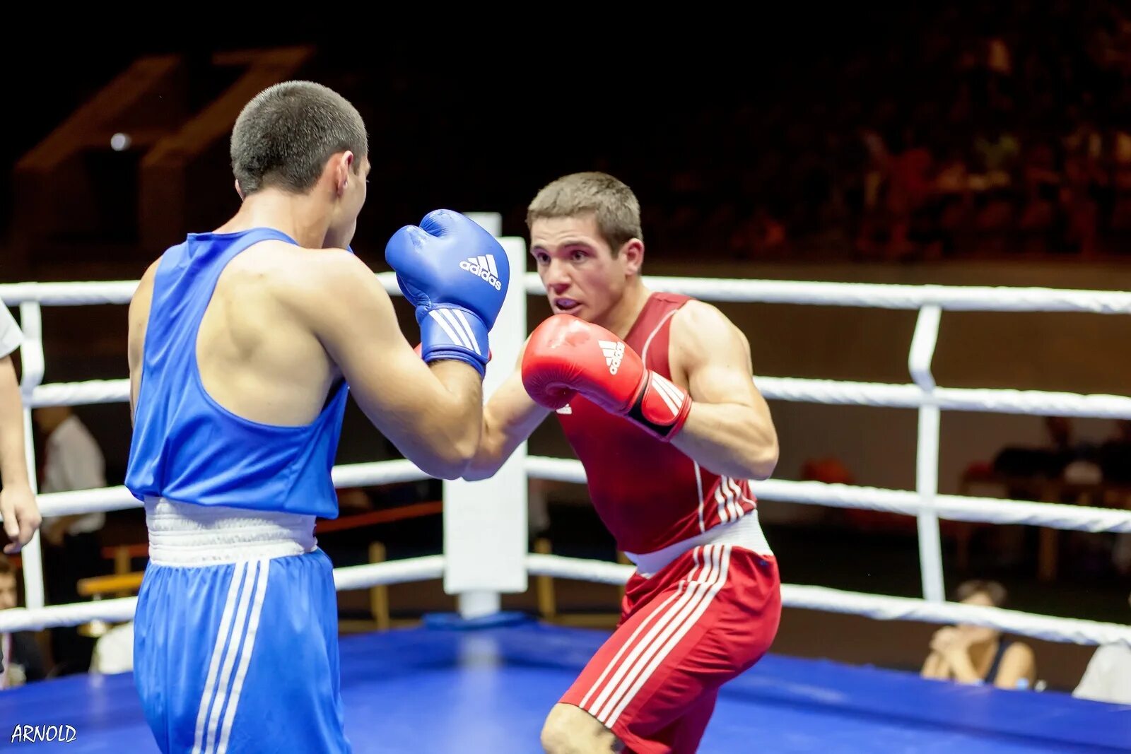 Дону бокс. Сергей миусов бокс. чемпион россии по боксу 2005. бокс донской. боксер ростов на дону.