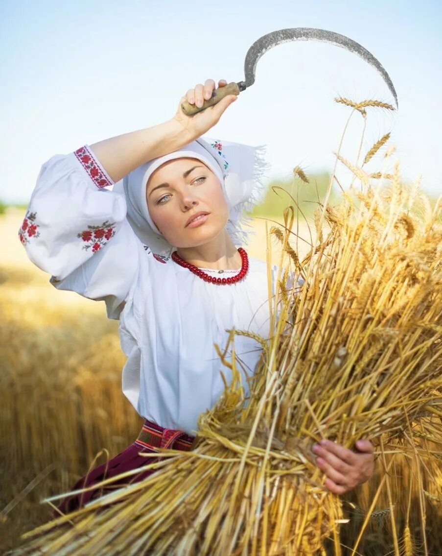 Женщина с колосьями. Женщина в поле с серпом. Славянские женщины. Косить серпом. Жали жито