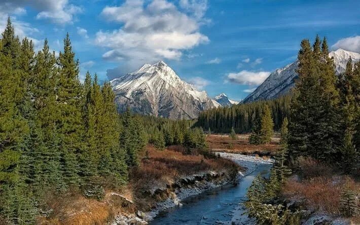 Обои лес, горы, река, Вайоминг, Wyoming, Grand Teton National Park, Скалистые го