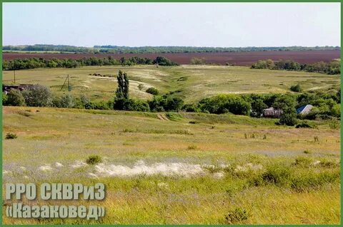 Погода в солнечном ростовская