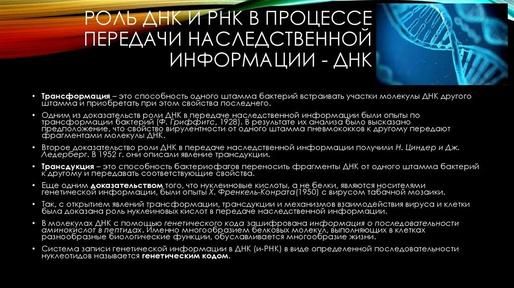 Роль нуклеиновых кислот в передаче наследственной. Роль ДНК В передаче генетической информации. Роль нуклеиновых кислот в передаче генетической информации. Роль ДНК И РНК В передаче наследственной информации. Роль в реализации наследственной информации