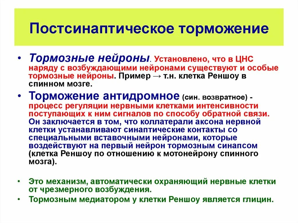 Анализы цнс. Торможение нейронов. Возбуждающие и тормозные Нейроны. Тормозные Нейроны и тормозные синапсы. Постсинаптическое торможение.