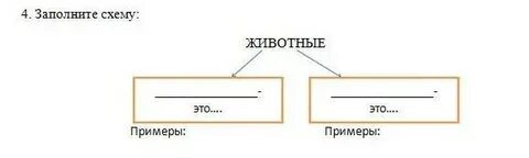 Перетащи таблички из текста и заполни схему