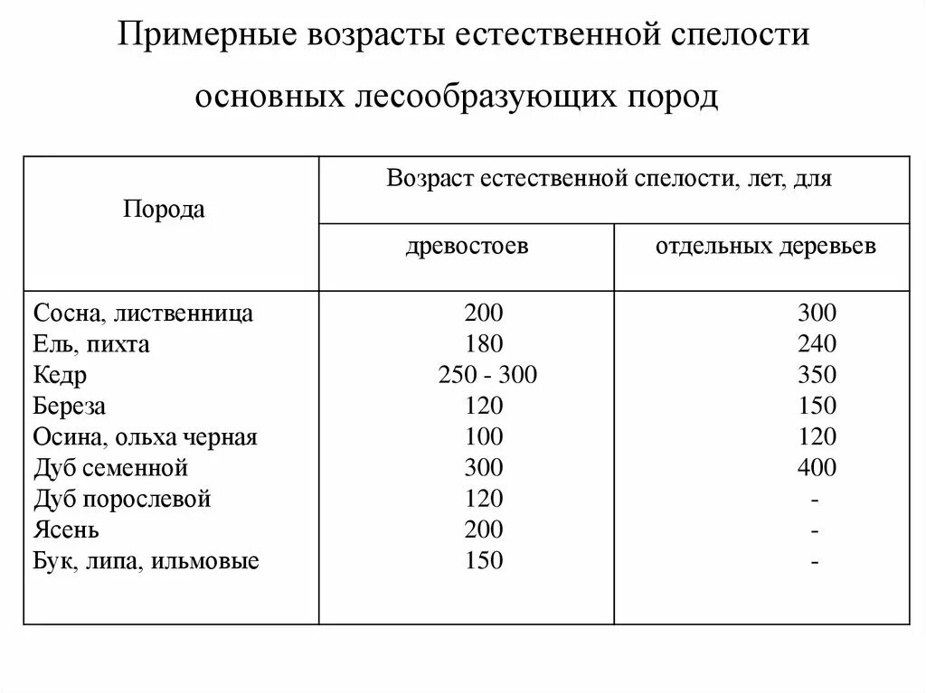 Основные лесообразующие породы. Возраст спелости древесины таблица. Возраст естественной спелости. Возраст технической спелости. Возраст рубки и спелость леса.