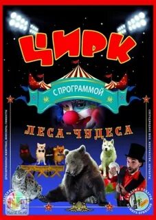 Цирк в реутово
