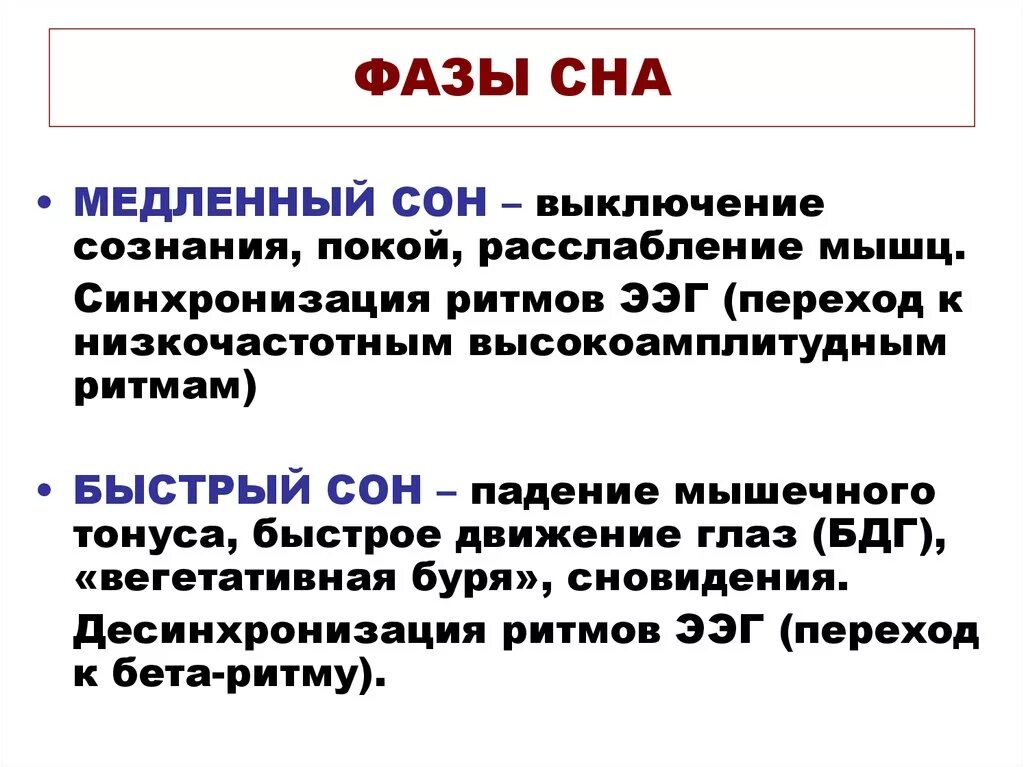 Быстрая фаза сна это