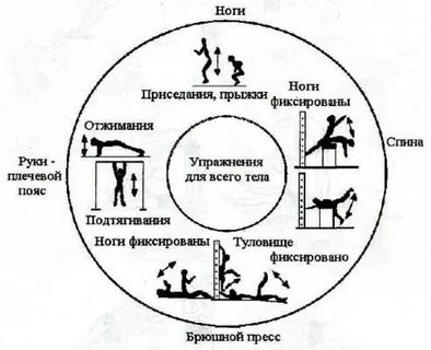 Круговая масса