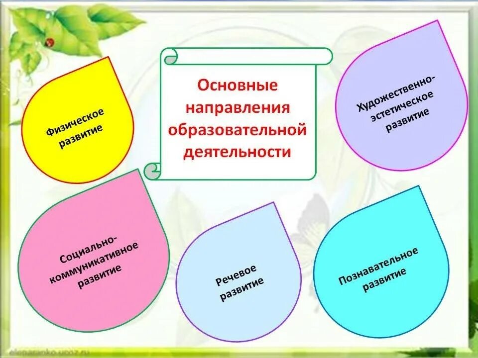 Образовательные направления в доу. Направление педагогической работы в ДОУ. Основная образовательная деятельность в ДОУ. Направления педагогической деятельности в ДОУ по ФГОС. Направление деятельности в ДОУ.