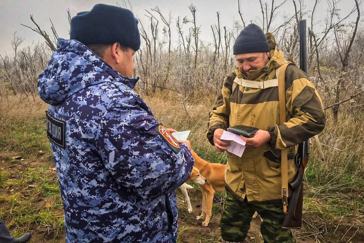 Природные ресурсы добыча охотничьих ресурсов. Охота на пушного на ставрополье 2025г. охрана охотничьих животных.