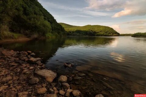Уссури бассейн какого