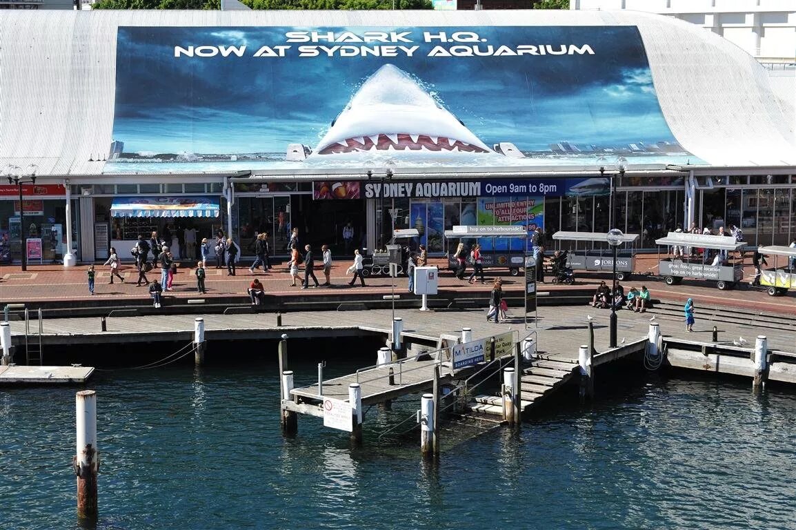 Sydney's world. Сиднейский аквариум Сидней. Австралийский аквариум. Океанариум в Австралии. Сиднейский аквариум Австралия снаружи.