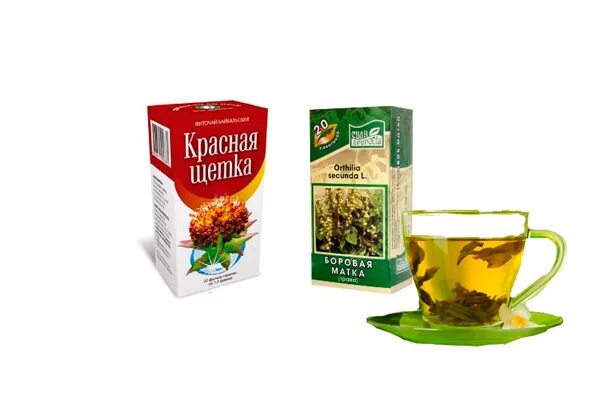 Боровая матка и красная щетка растения. Боровая матка и красная щетка. Красная щётка и Боровая травы. Травы Боровая матка и красная. Как пить боровую матку и красную щетку