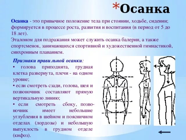 Под правильной осанкой понимается. Под правильной осанкой понимается