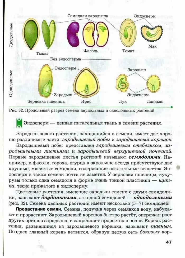 Биология 6 класс параграф 22 читать. Учебник по биологии 6 класс учебник пономарёва. Биология 6 класс Пономарева Корнилова Кучменко учебник 2011. Биология 6 класс учебник биология 6 класс учебник. Биология 6кл Пономарева учебник.