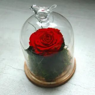 Воск розы