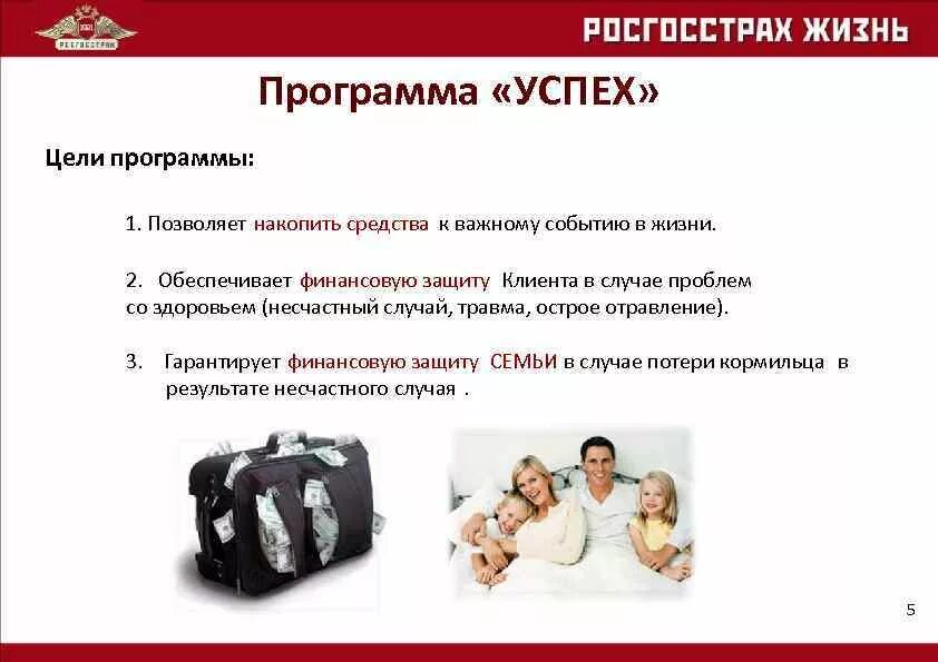 Программа успех цель программы. Цель программы успех в доу. принципы успех программы. программы страхования.