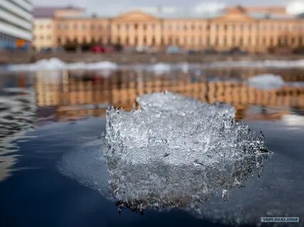 Сколько проживает в петербурге