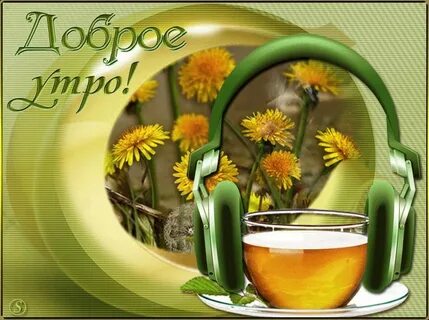 Новое утро новый день анимация