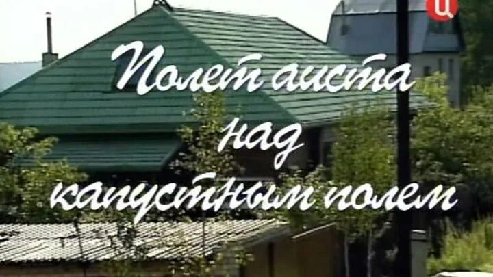 Сергей габриэлян старший. Полет аиста над капустным полем. Полет аиста над капустным полем. Полет аиста над капустным полем фильм 2004. Фильм 2 часть полет аиста над капустной.