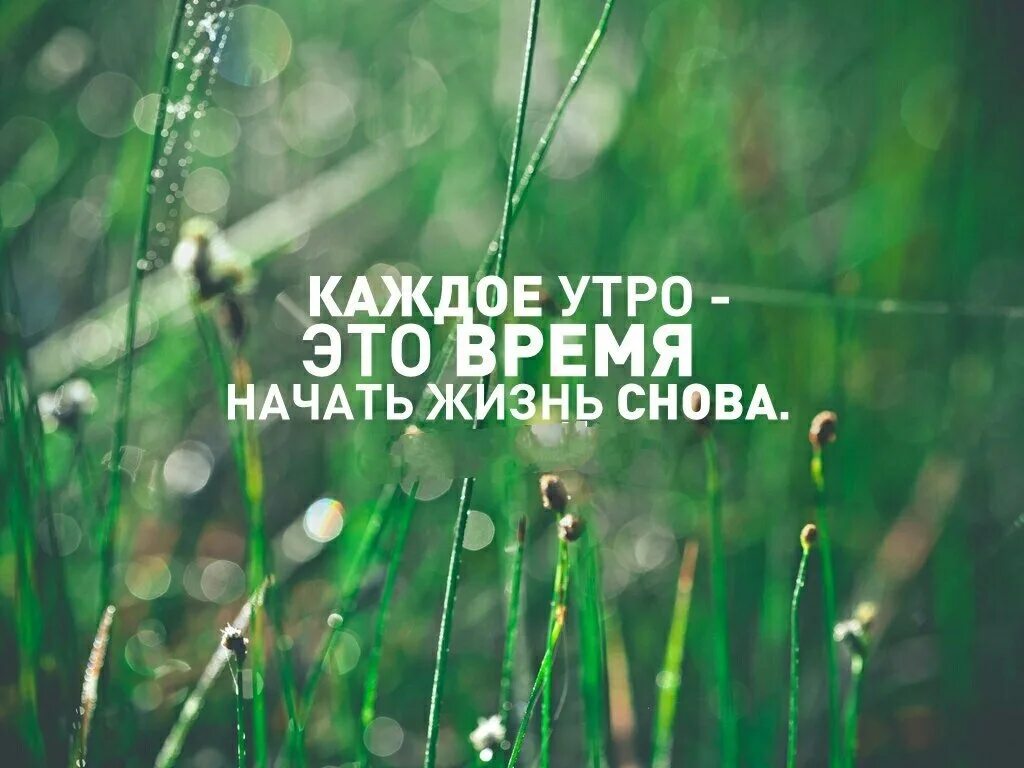 Доброе утро жизнь начинается. Высказывания с добрым утром. доброе утро с мотивирующими фразами. цитаты про утро мотивирующие. доброе утро цитаты мотивирующие.