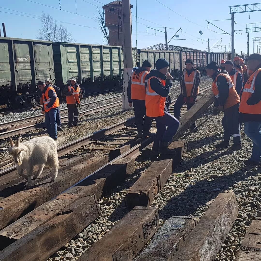 ЧП Свободный Амурской области. Свободном Амурской области сегодня. Свободный ликвидация ЧП моста. Пагөда на сегодня Свободный. Чп в амурской области сегодня